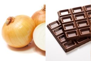 人与猫共同使用的厨房：安全、动线与设备选择：入口与视线 2