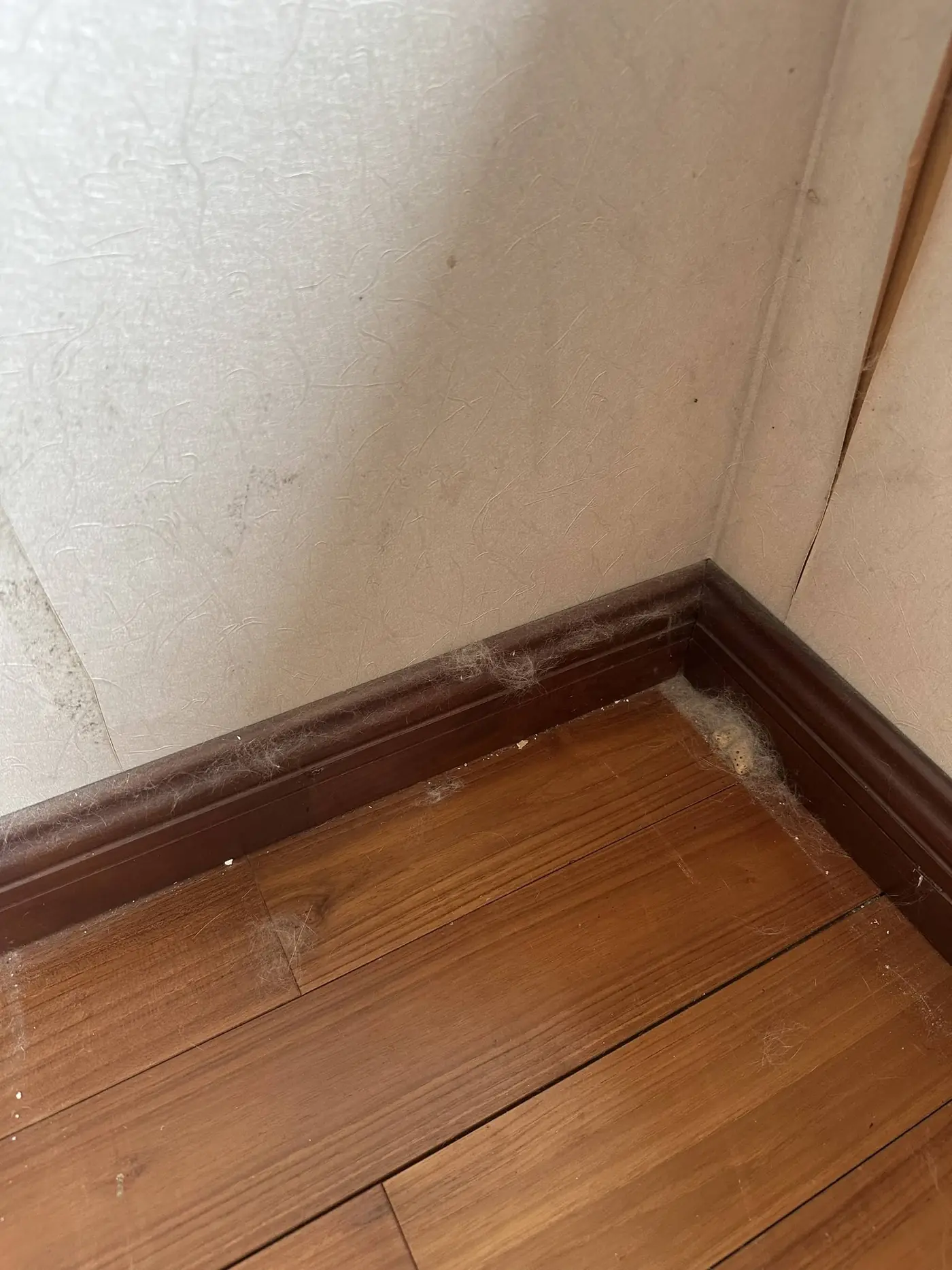 需求沟通中 1